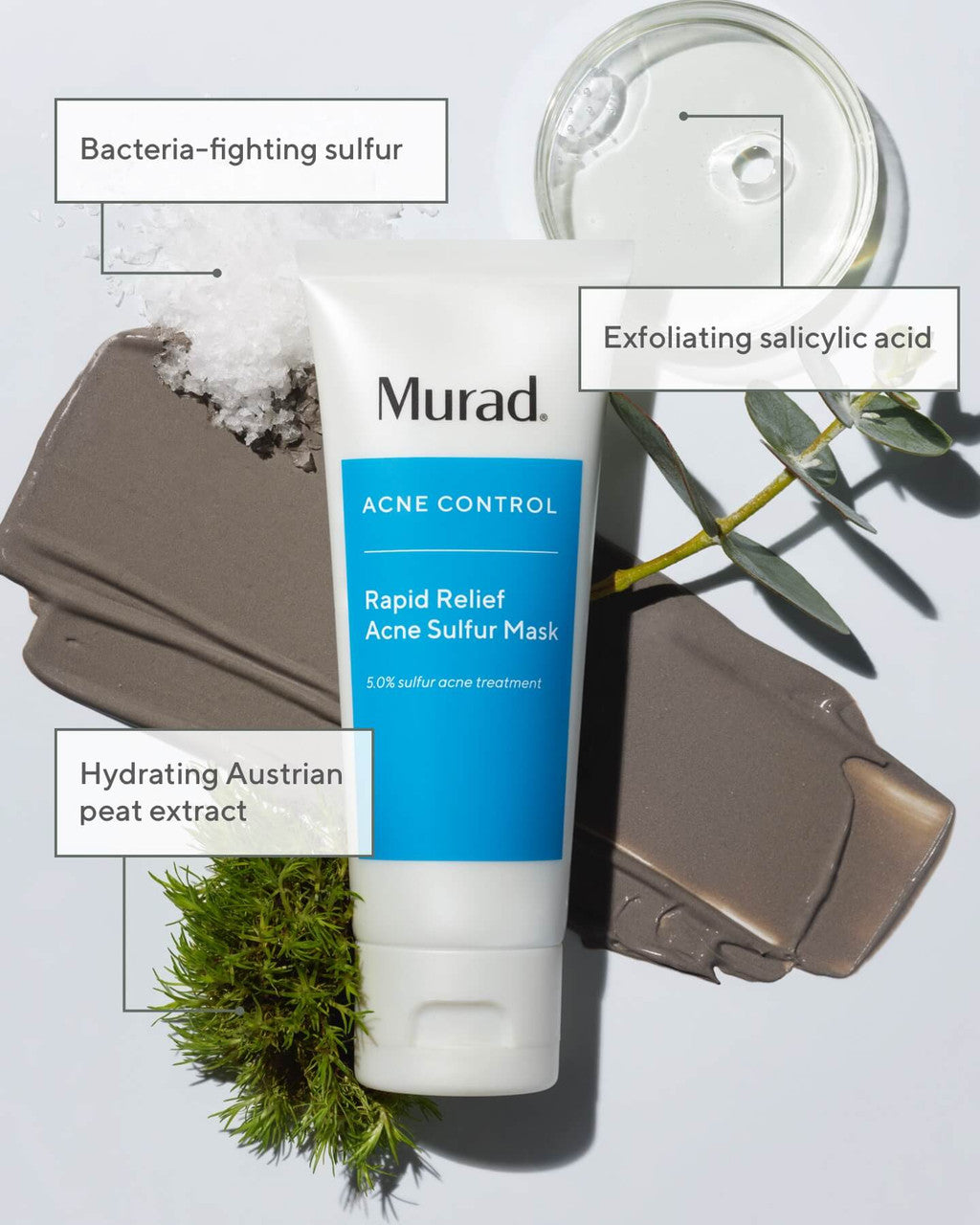 Rapid Relief Acne Sulfur Mask Ingredient Infographic