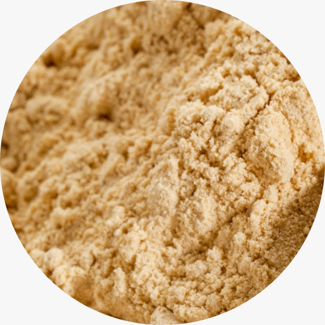 Yellow Dock Root Powder