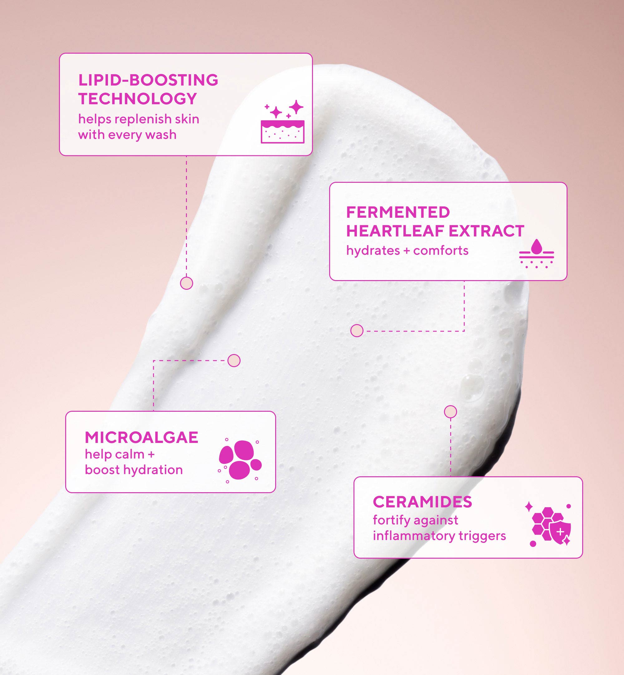 Heartleaf Soothing Body Cleansing Wash for Sensitive and Eczema-Prone Skin