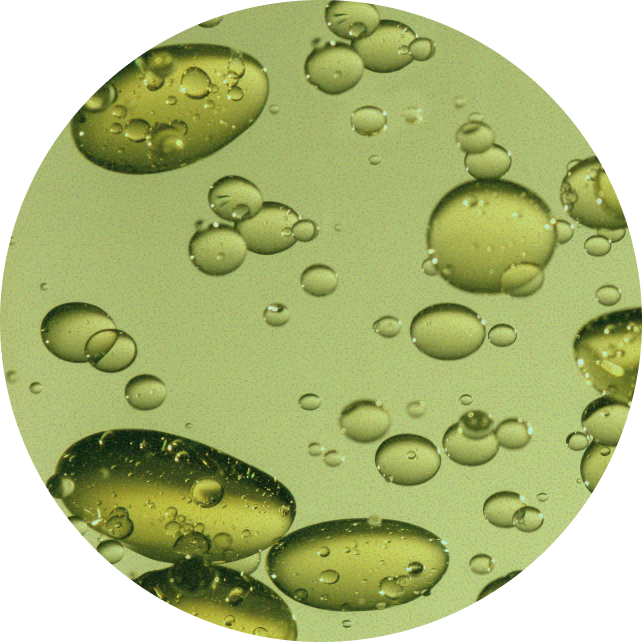 A circular close-up of translucent olive-green liquid droplets and bubbles on a pale yellow-green background.