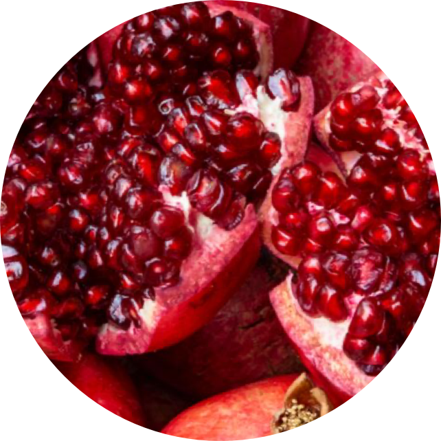 Pomegranate_Grape_Seed_Extract_2