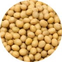 phytoestrogens-ingredient